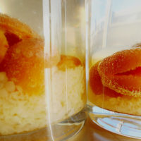 water kefir and apricots